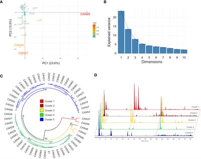 Mining the chemical diversity of the hemp seed (Cannabis sativa L.) metabolome: discovery of a new molecular family widely distributed across hemp